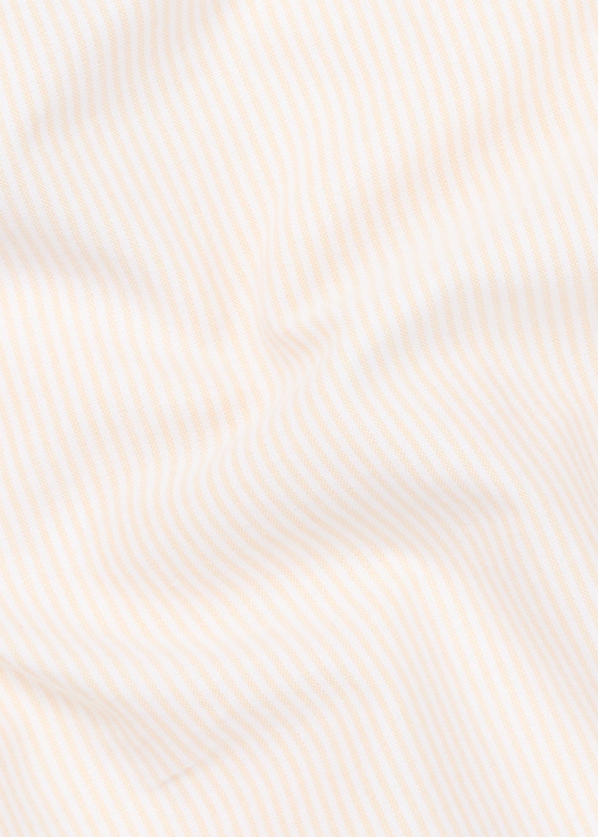 Calvi shirt in white and yellow